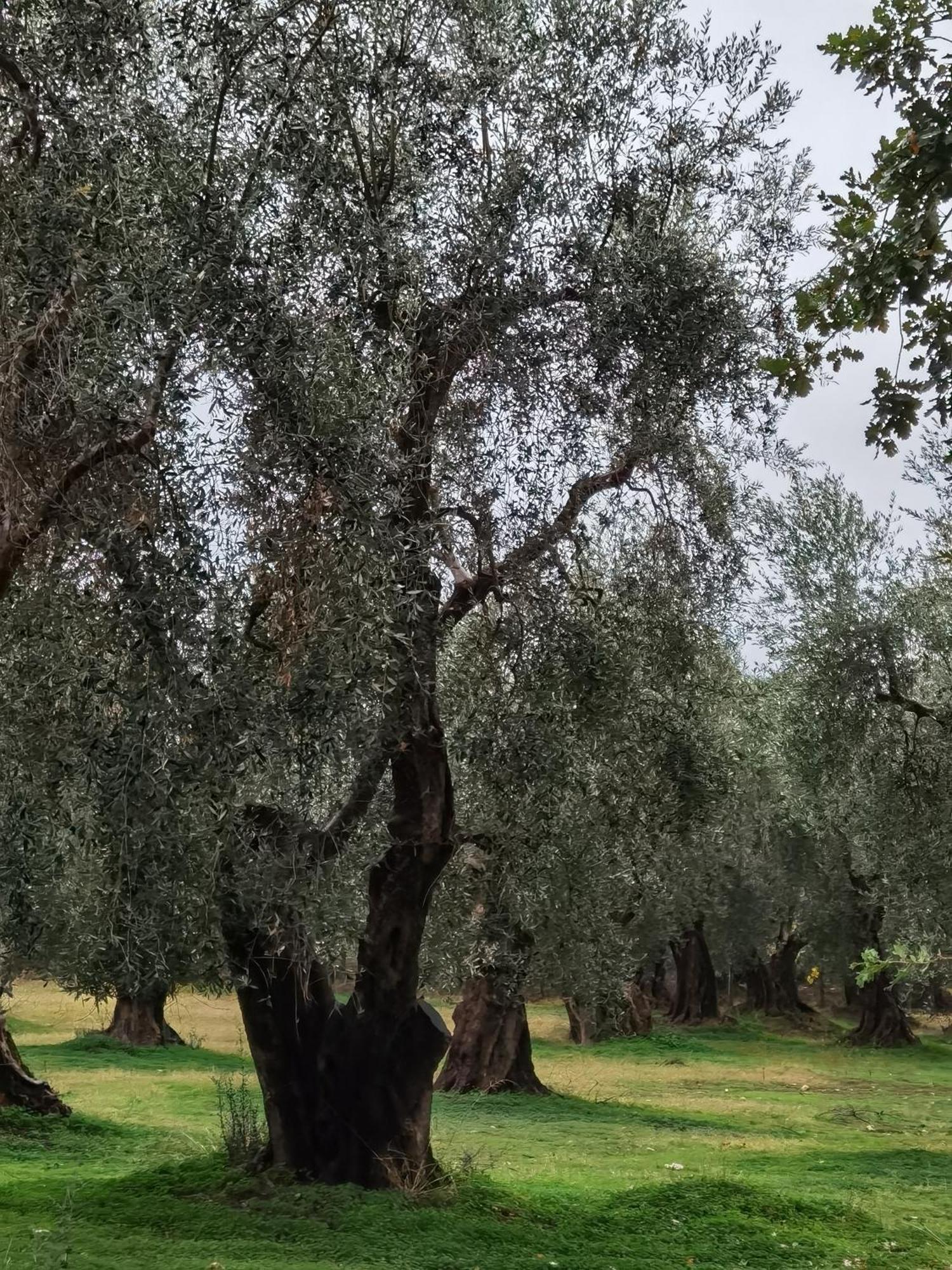 بيسْكيتْشّي Suites Dimora Garibaldi المظهر الخارجي الصورة